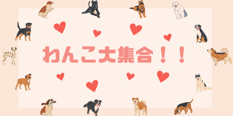 ていねいなくらし